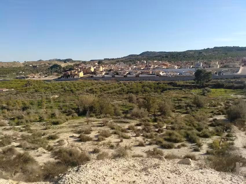 js ejendomskontor