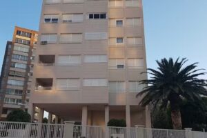 La Alicantina Inmobiliaria