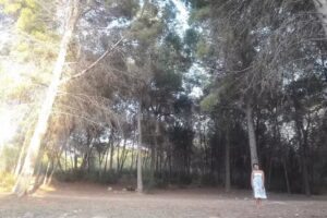 Lateral Valencia S L