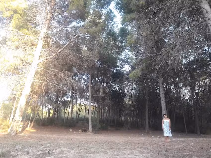 Lateral Valencia S L