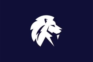Lion Capital Group