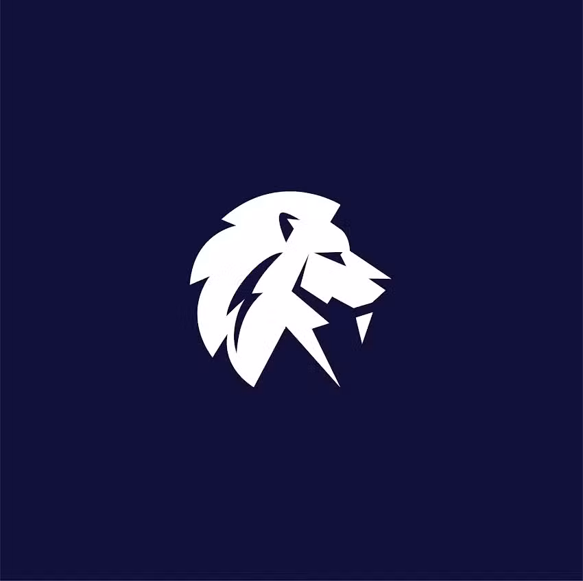 Lion Capital Group