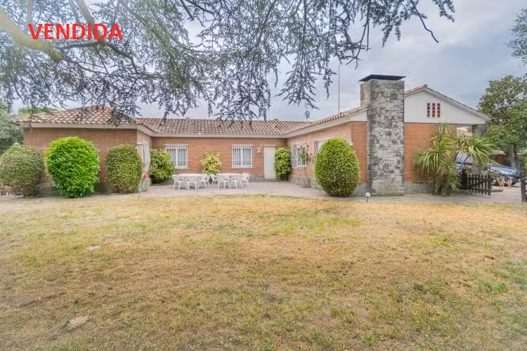 Lucy Dominguez INMOBILIARIA Asesor Inmobiliario