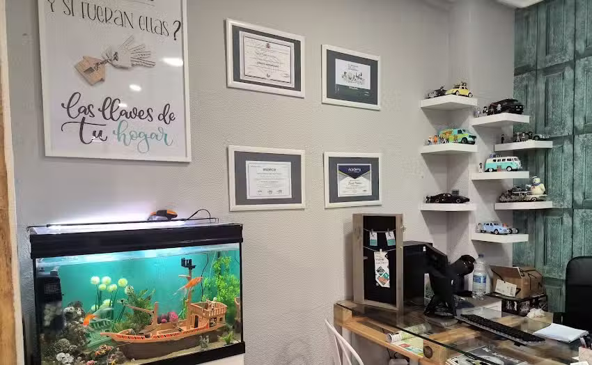 Medina & Sicilia Asociados – Experto inmobiliario