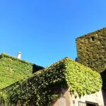 Mi Casa Inmobiliaria