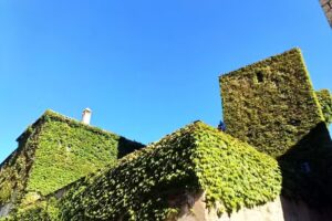 Mi Casa Inmobiliaria