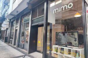 mimo asesores inmobiliarios