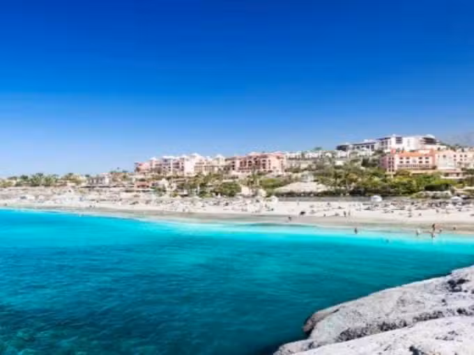 Mm Real Estate Agency