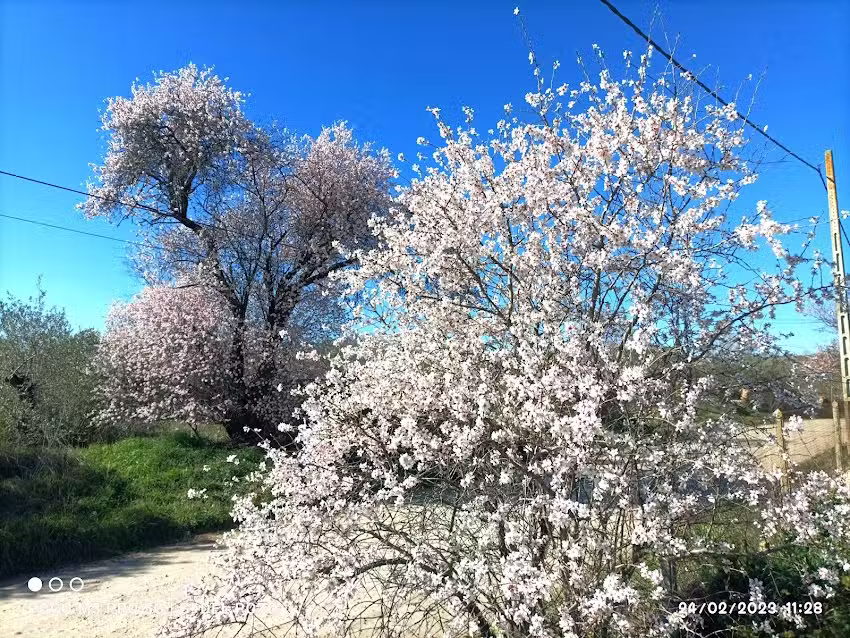 Molino de San Isidro