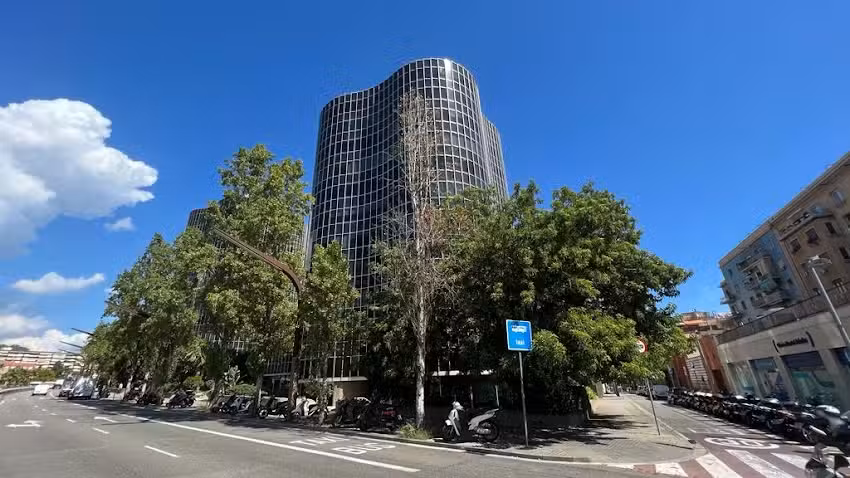 Molsan Inmobiliaria 2000 S.L.