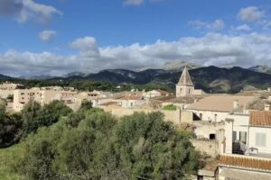 Moscari Finca Service S.L.