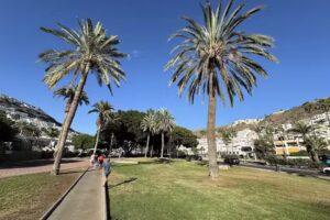 Neptuno De Las Hesperides S L