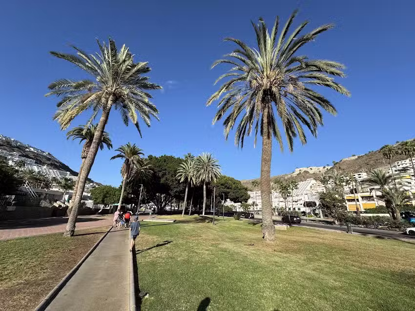 Neptuno De Las Hesperides S L