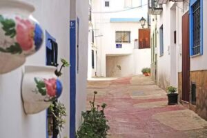 NIDOSS Inmobiliaria Tuéjar