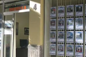 Odriozola – Inmobiliaria – Abogado