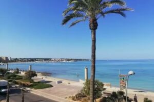 Palm Beach Mallorca Real Estate