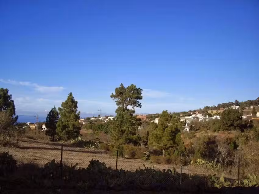 PALMAFINCA Gestión Inmobiliaria