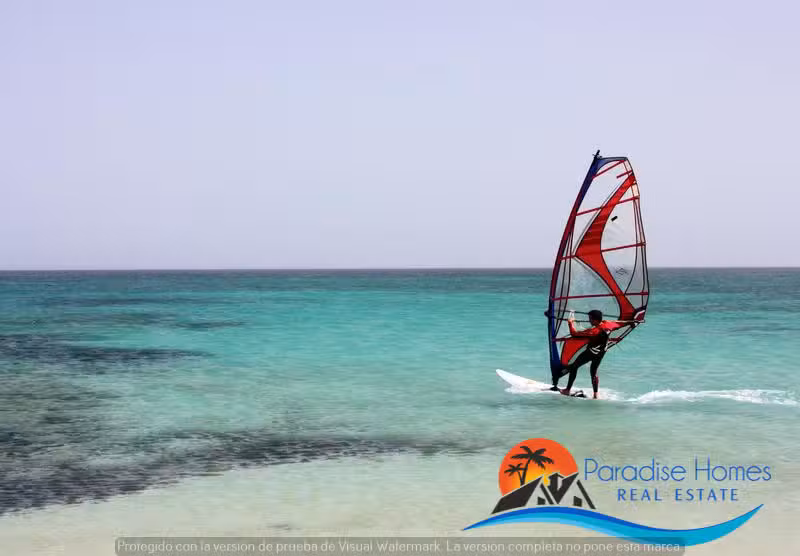 Paradise Canary Home