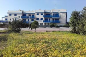 Parcelas CECOR Servicios Inmobiliarios