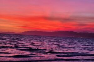 PERICÀS PROPERTIES INMOBILIARIA