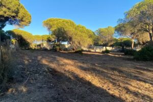 Pirenilla Gestion Inmobiliaria