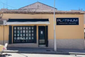 Platinum Properties