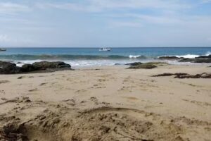 Playa Blanca Proertis