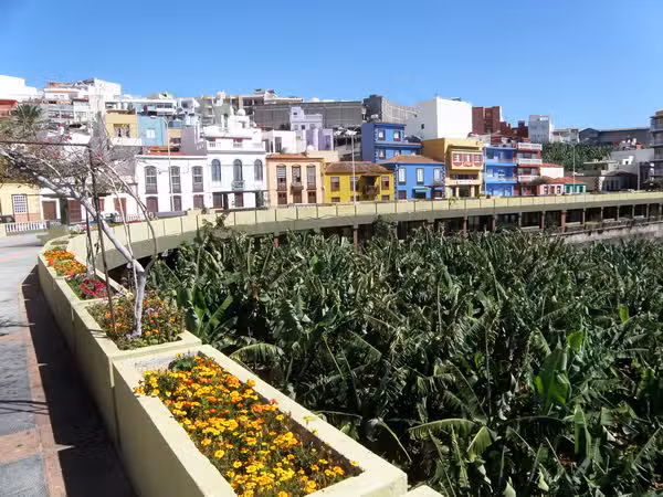 Plaza Inmobilien