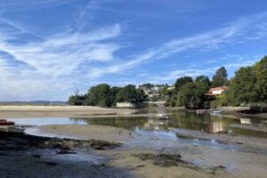 Poisa Y Valiño Asociados Sc