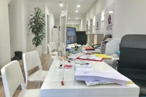 Primera Planta & Vimat