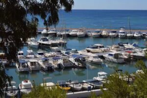 Probase International