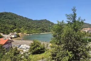 Promociones B. MArtija