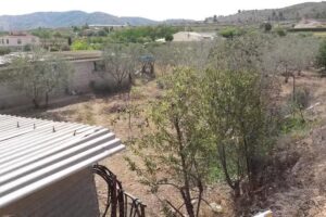 Property Check Spain