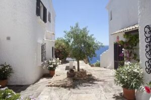 RE/MAX Calm Inmobiliaria Mallorca