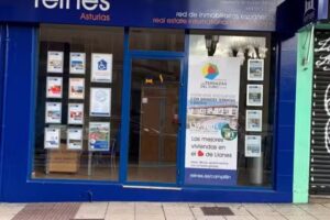 reines red de inmobiliarias españolas