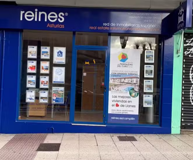 reines red de inmobiliarias españolas