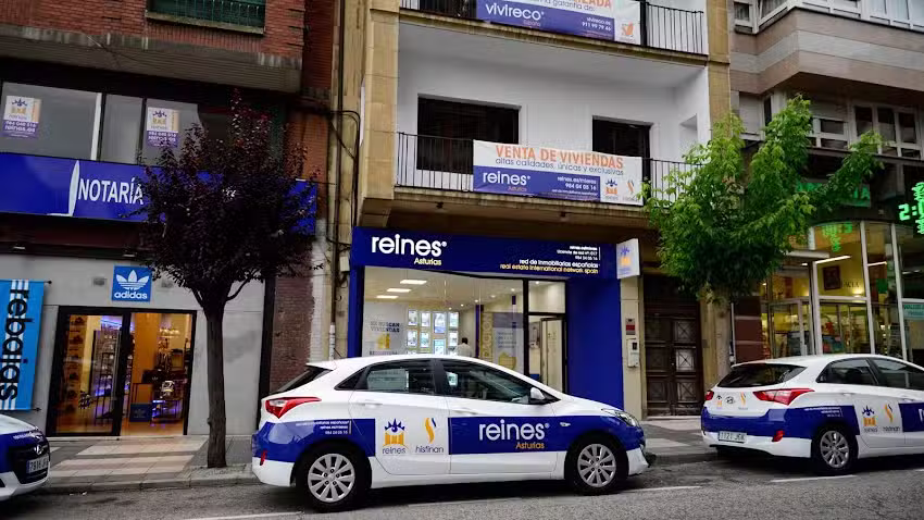 reines red de inmobiliarias españolas