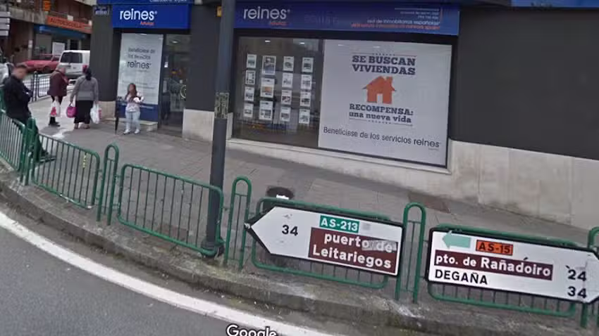 reines red de inmobiliarias españolas