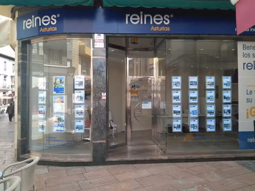 reines red de inmobiliarias españolas