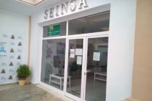 Seinsa Sociedad Europea Inmobiliaria S.A.