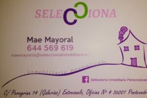 Selecciona Inmobiliaria Personalizada