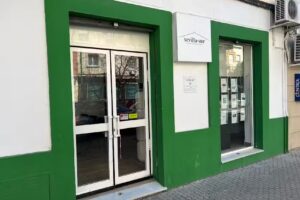 Sevilla.Sur Inmobiliaria