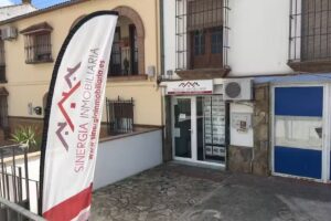 Sinergia Inmobiliaria