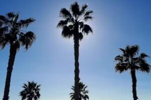 Sol & Casa Inmobiliaria