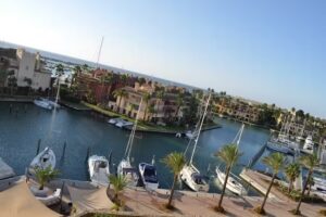 Sotogrande Estate Agents Ayling