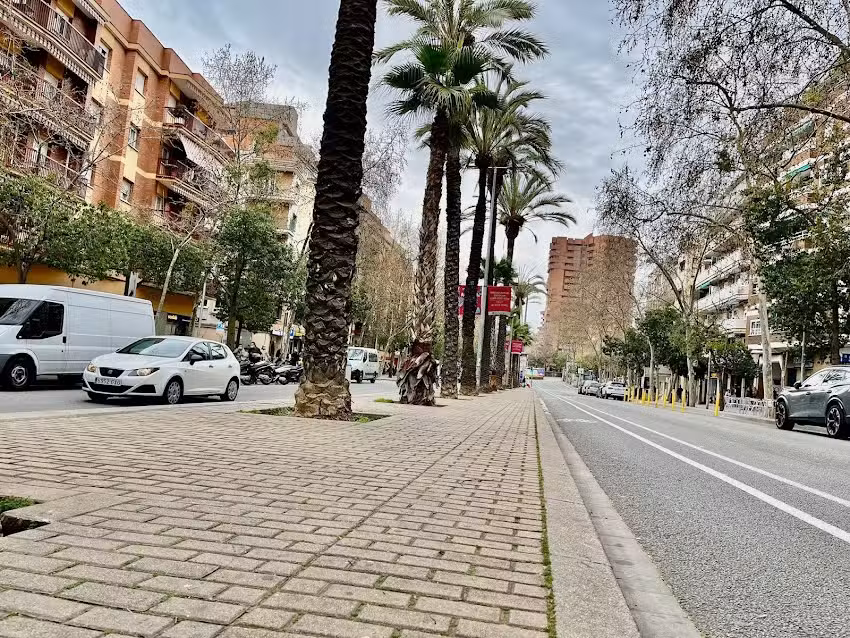 Tecnocasa agencia inmobiliaria