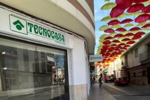 Tecnocasa agencia inmobiliaria