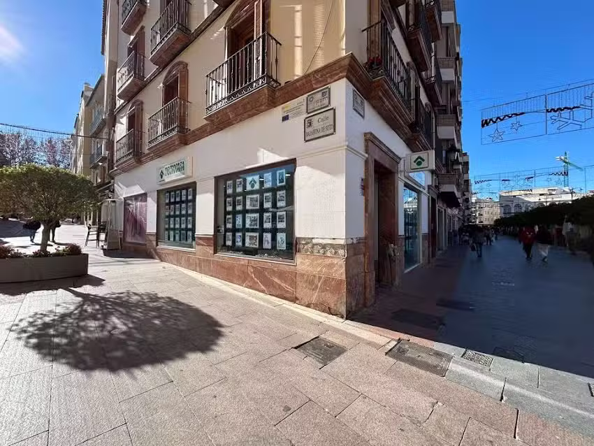 Tecnocasa Agencia Inmobiliaria