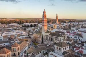 Tecnocasa Agencia Inmobiliaria