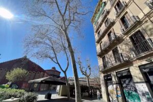 Tecnocasa agencia inmobiliaria